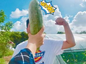 网红正能量吃瓜图片,传递美好与温馨