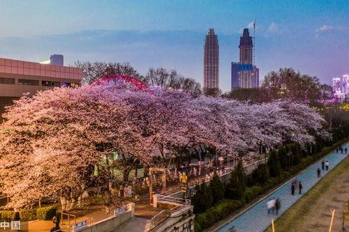 抖音吃瓜爆料入口,热门事件一网打尽！”