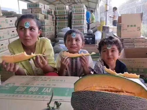 柳州今日吃瓜,瓜田李下，一网打尽城市新鲜事